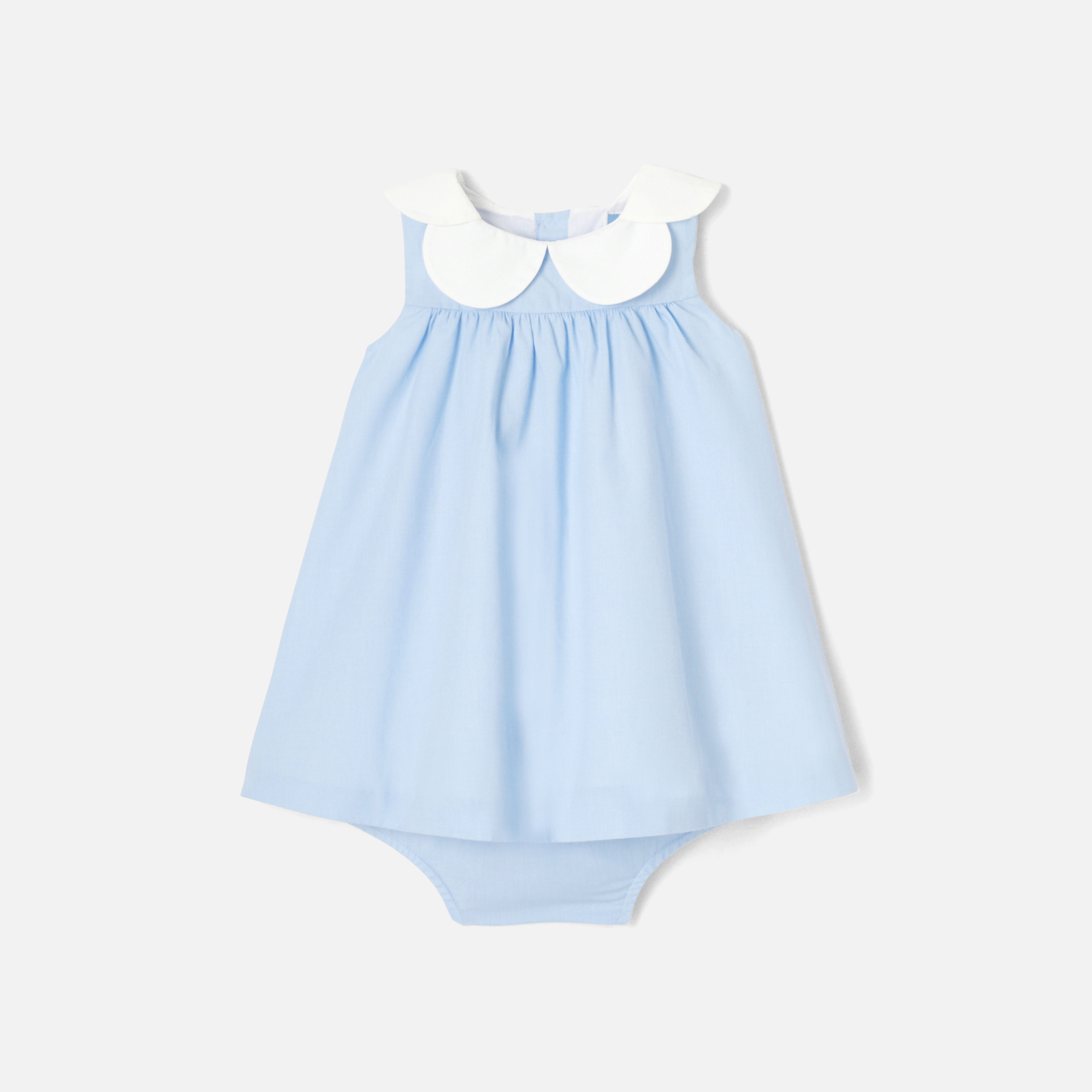 Blue/White